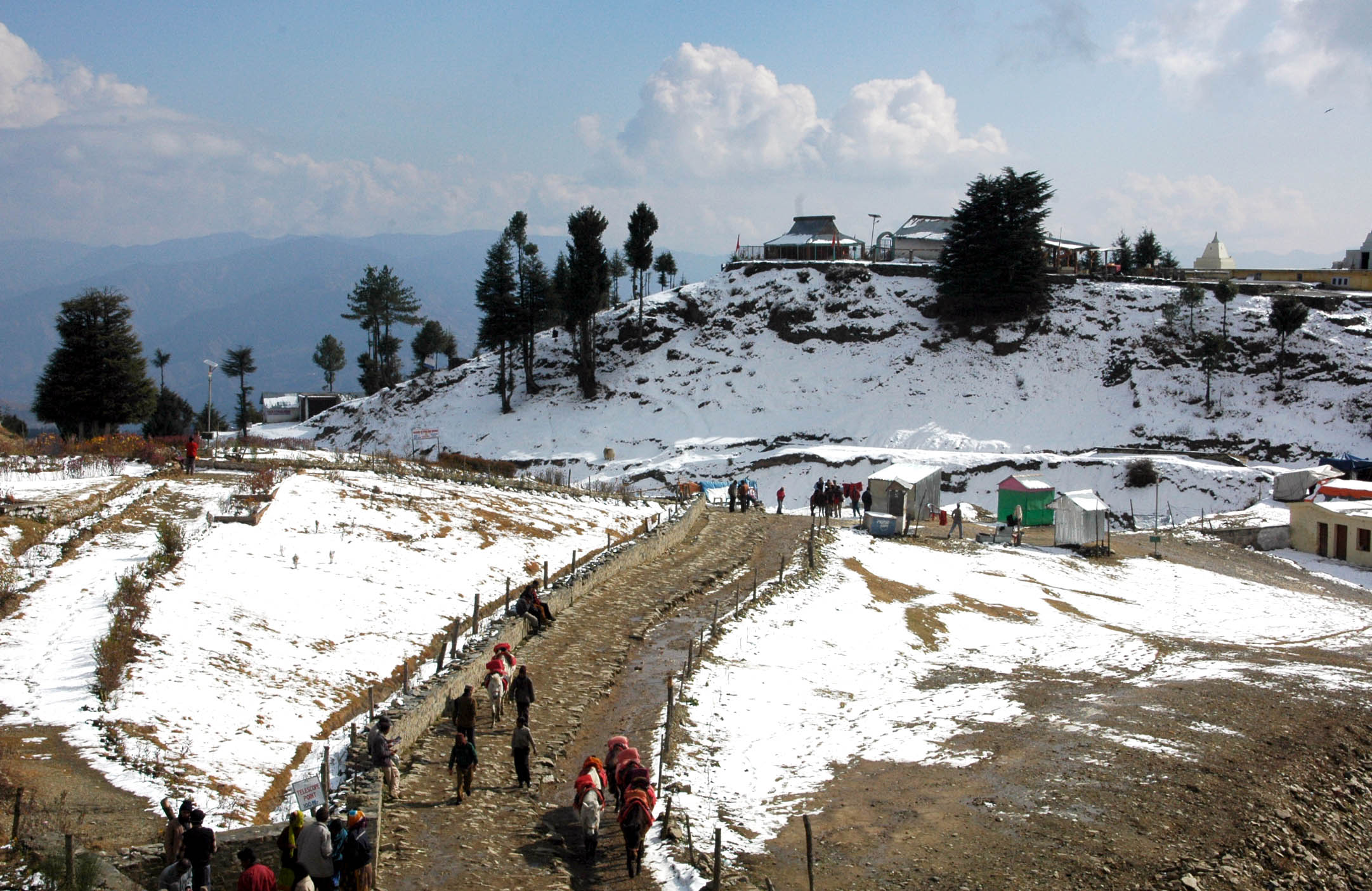 Kurfi Winter Spot