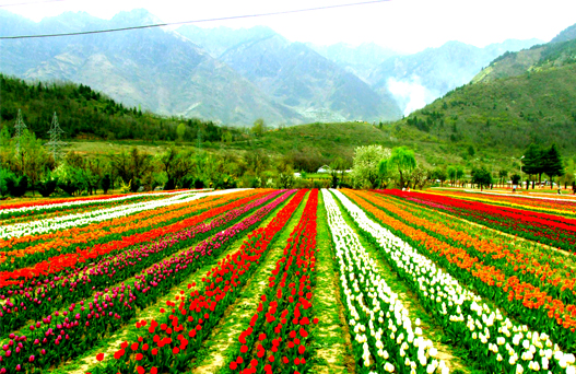 places to visit in srinagar, tourist places in srinagar, sehgal travels