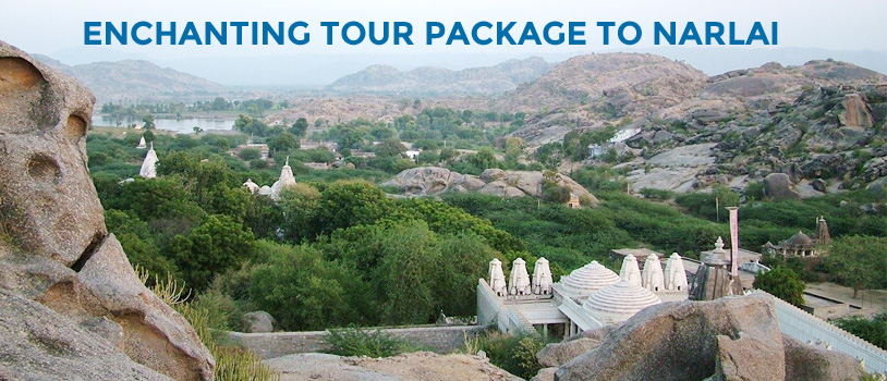 Delhi to Rajasthan by bus, Rajasthan points of interest, Narlai sightseeing, Kumbhalgarh Fort, Aravali Tent Resort at Udaipur