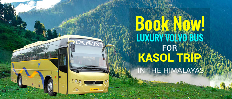 Delhi to Rajasthan by bus, Rajasthan points of interest, Narlai sightseeing, Kumbhalgarh Fort, Aravali Tent Resort at Udaipur