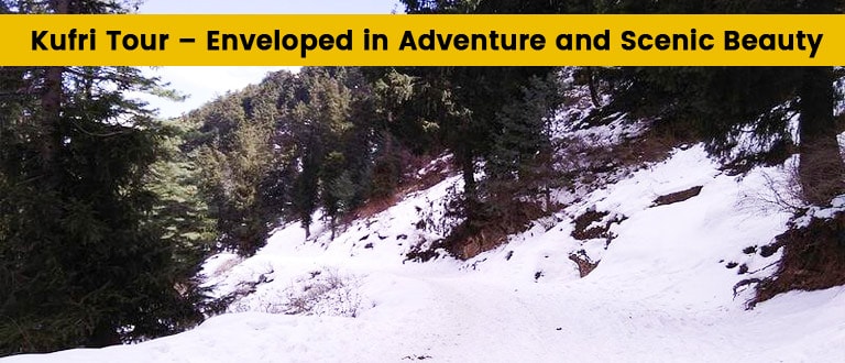 kufri places to visit, kufri snowfall time, himalayan nature park, kufri fun world, mahasu peak, delhi to kufri bus, tempo traveller in delhi