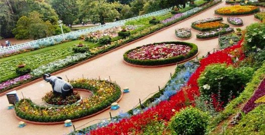 Chandigarh tour, places to visit in Chandigarh, Chandigarh tour package, tourist places in Chandigarh, volvo bus from delhi to Chandigarh