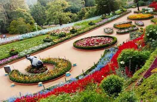 Chandigarh tour, places to visit in Chandigarh, Chandigarh tour package, tourist places in Chandigarh, volvo bus from delhi to Chandigarh