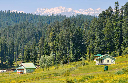 place to visit in Sonmarg, sonmarg sightseeing tour , thajiwas glacier in sonmarg, sonmarg weather , best hotels in sonamarg, volvo bus service from delhi to jammu