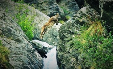 kullu manali, kullu places to visit, kullu tourism, delhi to kullu bus, volvo bus, tirthan valley, tirthan valley, Dhakpo Shedrupling Monastery, Volvo bus booking, bus on rent, bus hire in delhi, delhi to manali bus volvo, delhi to manali bus volvo, delhi to manali volvo