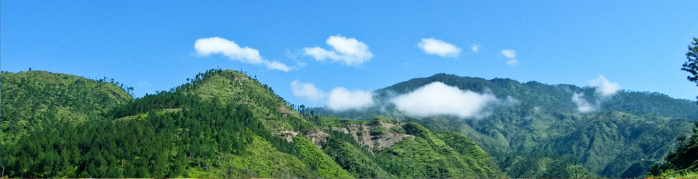 almora uttarakhand, almora places to visit, almora hill station, almora temple, uttarakhand tourism, jageshwar almora, almora to jageshwar, tourist places in uttarakhand, delhi to almora bus, kasar devi temple almora, almora snowfall, volvo bus from delhi to almora, sehgal transport