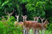 places to visit in nahan, delhi to nahan volvo, renuka lake in nahan, nahan sightseeing, best time to visit nahan, nahan hill station, nahan snowfall, sehgal transport service