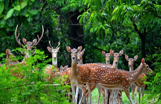 places to visit in nahan, delhi to nahan volvo, renuka lake in nahan, nahan sightseeing, best time to visit nahan, nahan hill station, nahan snowfall, sehgal transport service