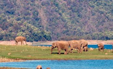 delhi to haridwar volvo, delhi to haridwar volvo bus, har ki pauri haridwar, mansa devi mandir, places to visit in haridwar, haridwar tour, haridwar ganga, dharamshala in haridwar, haridwar ghat, sehgal transport
