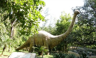 places to visit in nahan, delhi to nahan volvo, renuka lake in nahan, nahan sightseeing, best time to visit nahan, nahan hill station, nahan snowfall, sehgal transport service