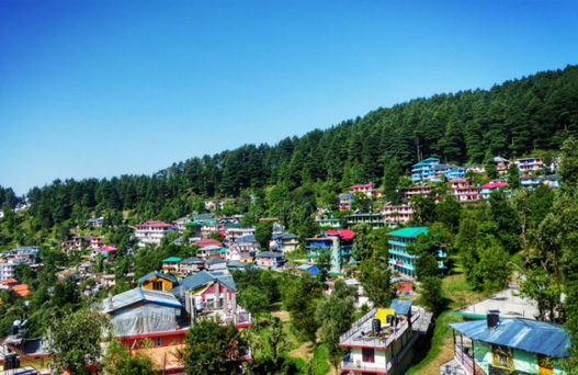 delhi to dharamshala volvo bus, tibet museum, things to do in dharamshala, places to visit in dharamshala, dharamshala sightseeing, tea garden, dharamshala cricket stadium, delhi to dharamshala luxury bus