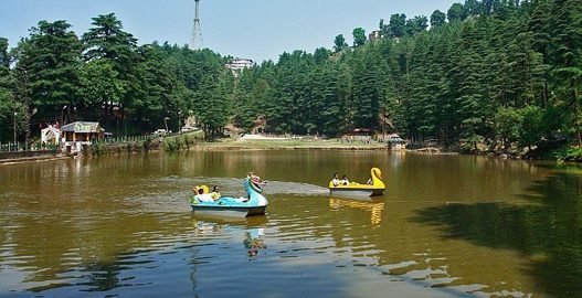 delhi to dharamshala volvo bus, tibet museum, things to do in dharamshala, places to visit in dharamshala, dharamshala sightseeing, tea garden, dharamshala cricket stadium, delhi to dharamshala luxury bus
