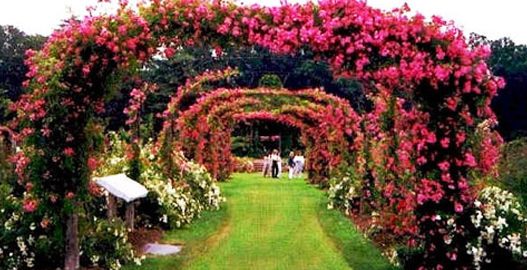 mohali tourist places, places to visit in mohali, gurdwara amb sahib, baba banda singh bahadur war memorial, fateh burj, mohali weather, delhi to mohali volvo bus, volvo bus from delhi to chandigarh, tempo traveller on rent in Delhi, Tata Coach On Hire In Delhi