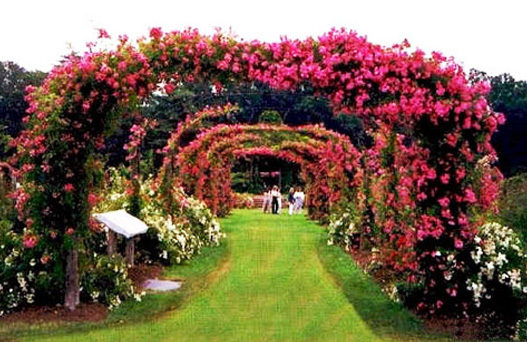 mohali tourist places, places to visit in mohali, gurdwara amb sahib, baba banda singh bahadur war memorial, fateh burj, mohali weather, delhi to mohali volvo bus, volvo bus from delhi to chandigarh, tempo traveller on rent in Delhi, Tata Coach On Hire In Delhi