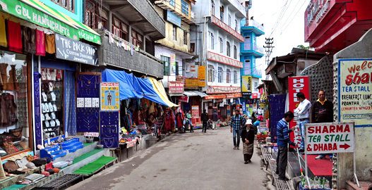 kausani uttarakhand, kausani sightseeing, kausani hill station, Kausani Tea Estate, Shopping in Kausani, nature valley kausani,delhi to kausani bus, delhi to kausani volvo, tempo traveller booking, Luxury bus booking, Tata Coach On Hire In Delhi