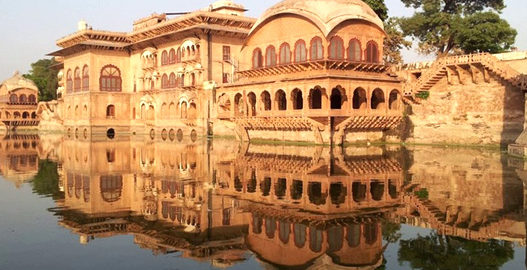 bharatpur bird sanctuary, bharatpur wildlife sanctuary, places to visit in bharatpur, bharatpur tourism, delhi to bharatpur bus, tempo traveller on rent, tata luxury bus, travel agency in delhi