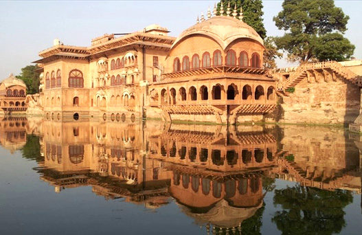 bharatpur bird sanctuary, bharatpur wildlife sanctuary, places to visit in bharatpur, bharatpur tourism, delhi to bharatpur bus, tempo traveller on rent, tata luxury bus, travel agency in delhi