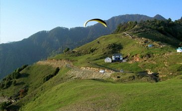 places to visit in palampur, palampur tourist places, things to do in palampur, kangra valley, tea garden, delhi to palampur bus, Tata Luxury bus, Tempo Traveller on rent in delhi, delhi to palampur volvo bus