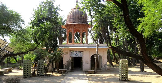 bharatpur bird sanctuary, bharatpur wildlife sanctuary, places to visit in bharatpur, bharatpur tourism, delhi to bharatpur bus, tempo traveller on rent, tata luxury bus, travel agency in delhi
