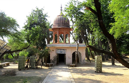 bharatpur bird sanctuary, bharatpur wildlife sanctuary, places to visit in bharatpur, bharatpur tourism, delhi to bharatpur bus, tempo traveller on rent, tata luxury bus, travel agency in delhi
