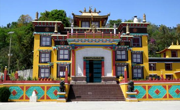 places to visit in palampur, palampur tourist places, things to do in palampur, kangra valley, tea garden, delhi to palampur bus, Tata Luxury bus, Tempo Traveller on rent in delhi, delhi to palampur volvo bus